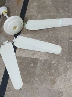 Ceiling fan in new condition