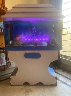 Aquirum with fishes for sale