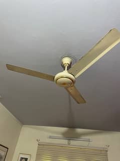 Master Ceiling fan good condition