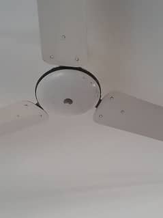Asia celling fan used