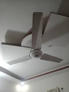 large size ceiling fan