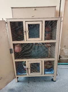 parrots cage and with paroots wood cage