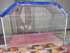Hen Cage | Pinjra for sale |