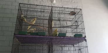 Bird Cage Only (Pinjra)