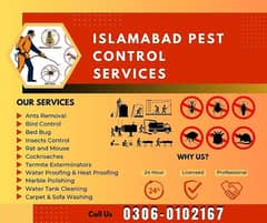 Termite/Pest control treatment/deemak control service/spray fumigation