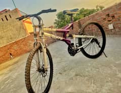 Super sports Bike / Original Cat Vento