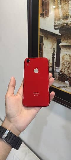 iPhone XR (PTA Approved)