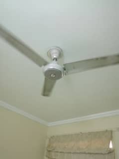 ceiling fans 3 pc each Rs 4000