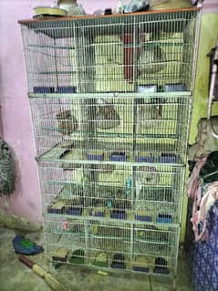 12 porshan cage