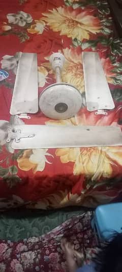 Two Other Ceiling Fans For Sale 0