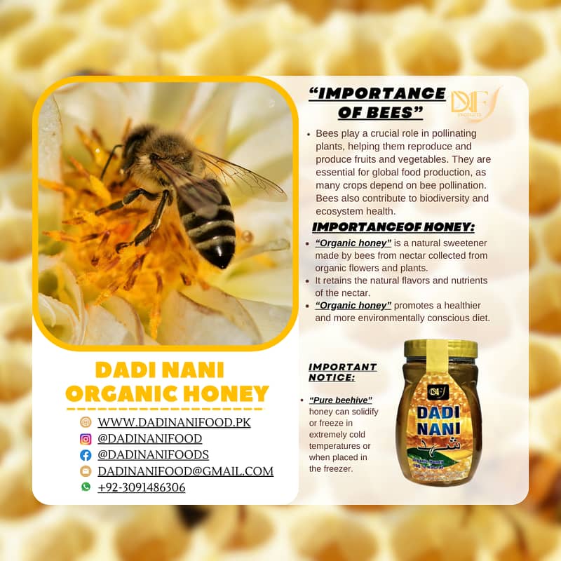 Dadi Nani 100%Organic Honey 1