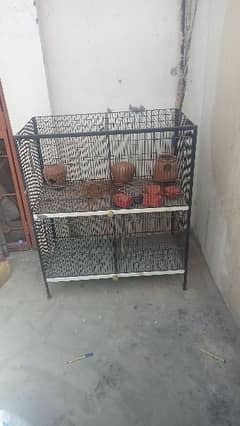 cages for parrot, hen's, and other bird