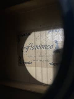Flemenco Classical Guitar