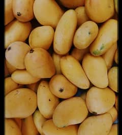 sweets mangoes