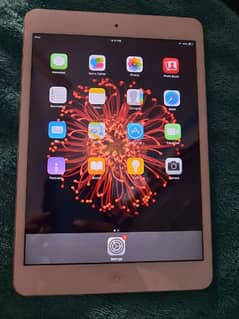 ipad mini 2 (16gb)