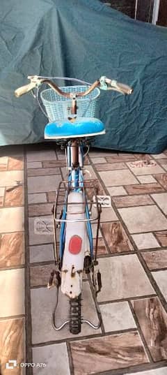 japanese cycle