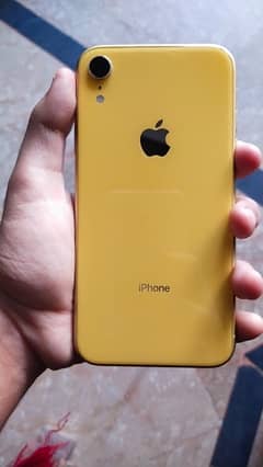 Iphone XR| Non PTA/Factory Reset| Negotiable