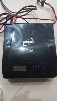 homeage ups double battery