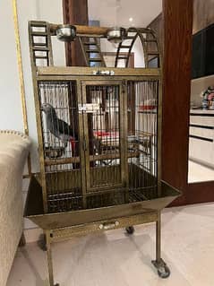 Large Moving Cage with top sitting for all pet birds or Grey parrot