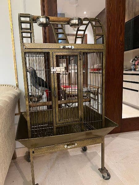 Large Moving Cage with top sitting for all pet birds or Grey parrot 0