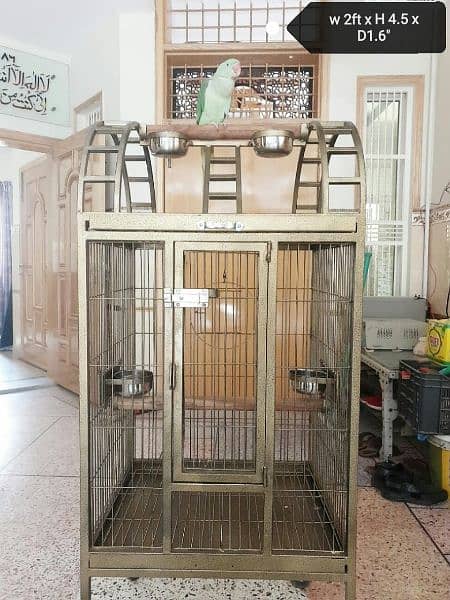 Large Moving Cage with top sitting for all pet birds or Grey parrot 5