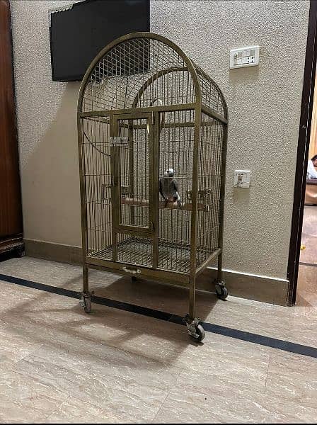 Large Moving Cage with top sitting for all pet birds or Grey parrot 10