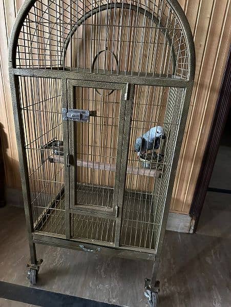 Large Moving Cage with top sitting for all pet birds or Grey parrot 13