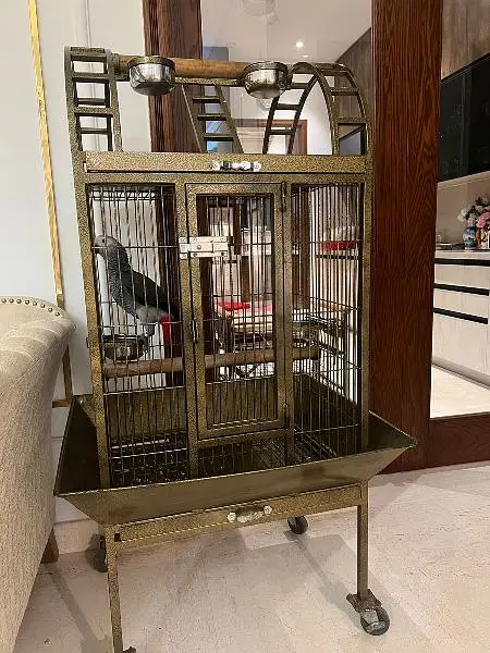Best Quality round shape Birds cages available 0300-4331882 — photo 4