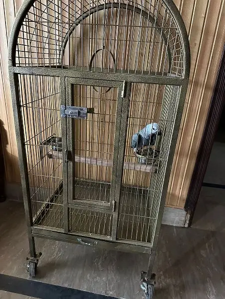 Best Quality round shape Birds cages available 0300-4331882 — photo 6