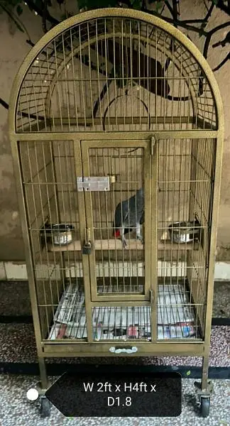 Best Quality round shape Birds cages available 0300-4331882 — photo 10