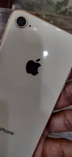 IPhone 8 64gb Non Pta Waterpack 0