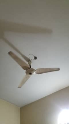Ceiling fan millat