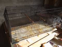 Cage for parrots and Birds two portion cage