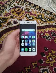 Vivo y66