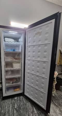 pel vertical freezer