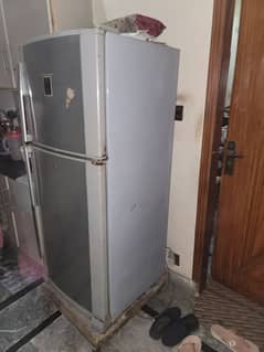 dalliance fridge for sale genuine condition