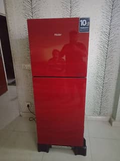 Brand New Haier Refrigerator