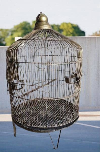 Best quality Cages for Raw parrots, Grey parrots, all other pet birds 12