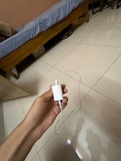 iphone org 20 watt fast charger . . .