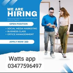 male female staff required office and home base