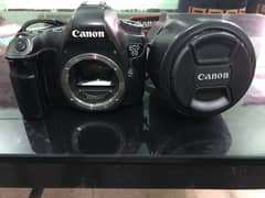Canon 6d with 4L lens