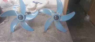 Two fans (Pakhi) used to apply on side wall