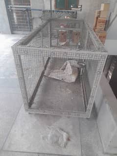 parrot/birds cage