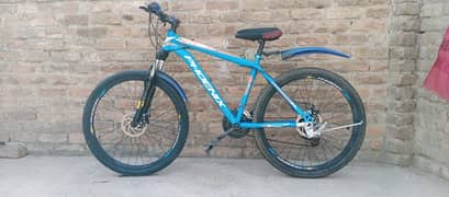 Phoenix Sport Bicycle For Sale