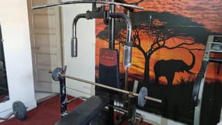Multiuse Home Gym Machine