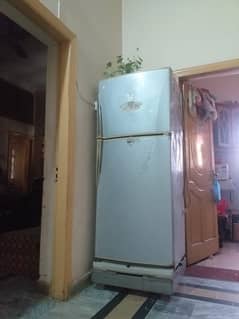 Dawalance full size fridge