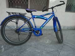 Trigon bicycle Full Size
