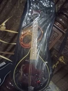branded mandolin semi acoustic