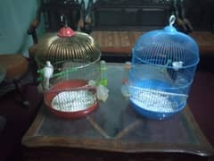 2 cages canary for sale