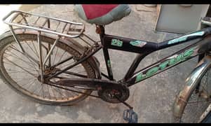 lotus bicycle 26"